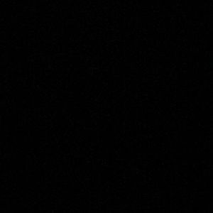 Meet your Posher, Bernadette